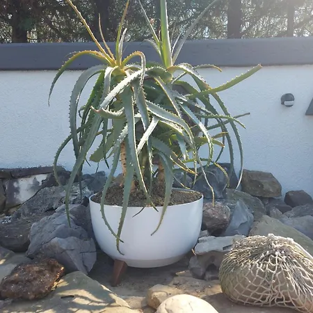 Apartma Viktorija Apartment *