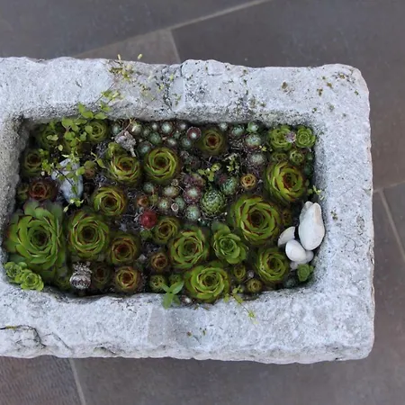 Apartma Viktorija Appartement