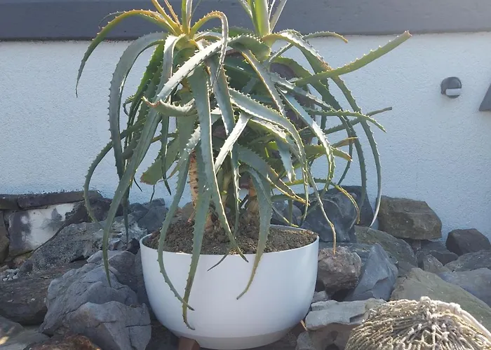 Apartma Viktorija Lejlighed *