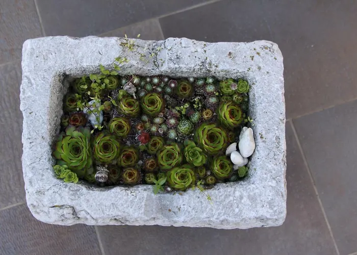 Apartma Viktorija Lejlighed